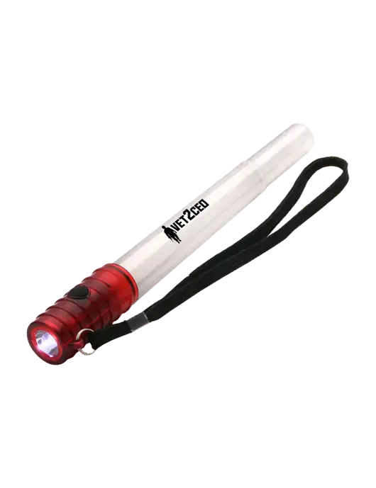 Red Emergency LED Glow Whistle w/Vet2CEO Logo